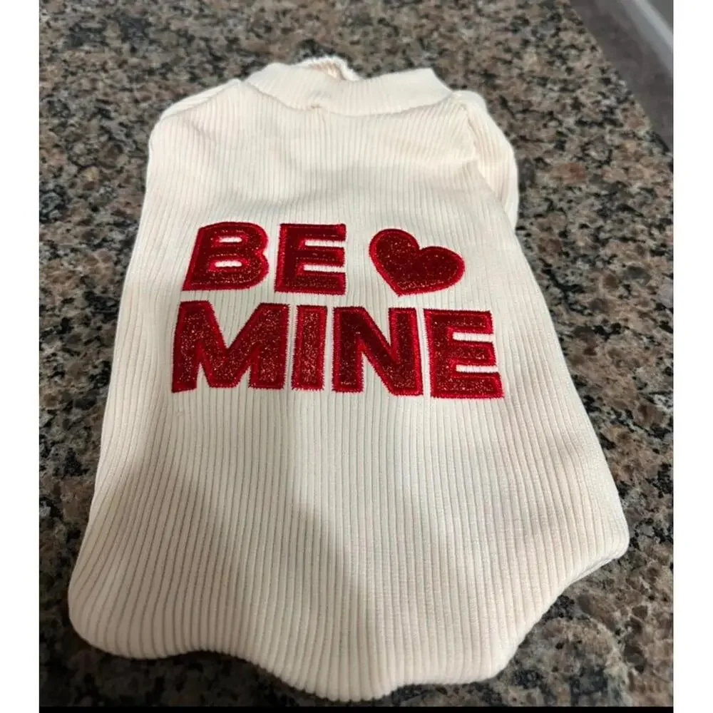Pet Valentine’s Day outfit